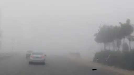 أخبار مصر والعالم