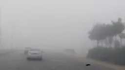 أخبار مصر والعالم