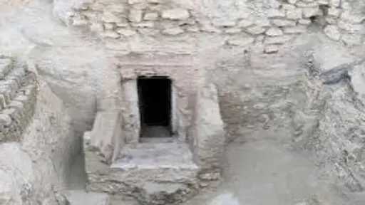 أخبار مصر والعالم