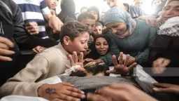 أخبار مصر والعالم