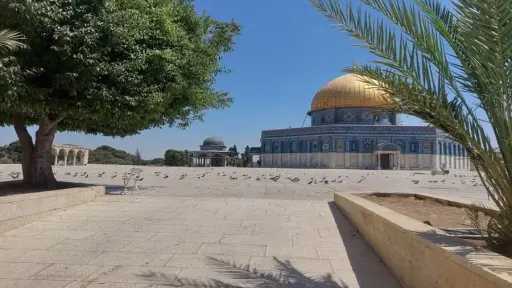 أخبار مصر والعالم