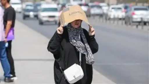 أخبار مصر والعالم