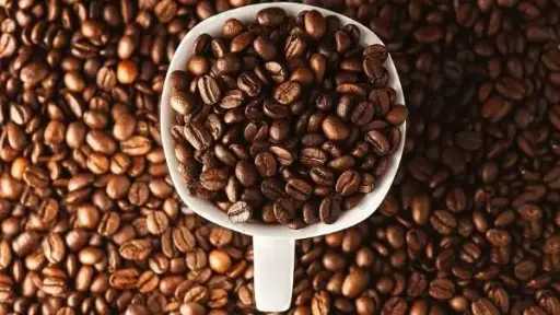 أخبار مصر والعالم