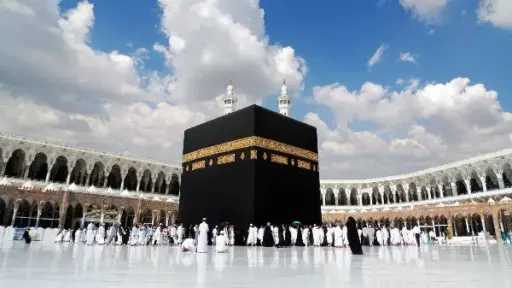 أخبار مصر والعالم
