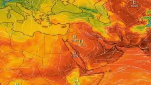 أخبار مصر والعالم