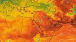 أخبار مصر والعالم