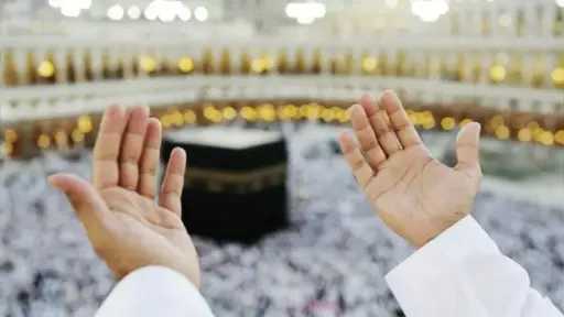 أخبار مصر والعالم
