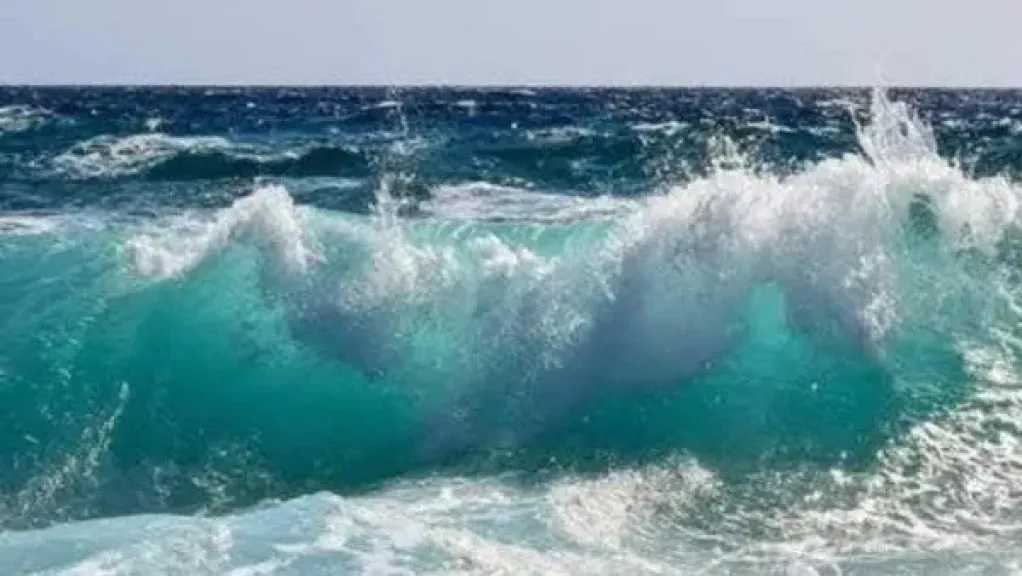 أخبار مصر والعالم