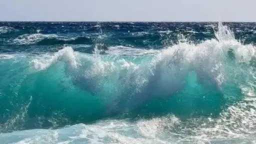 أخبار مصر والعالم