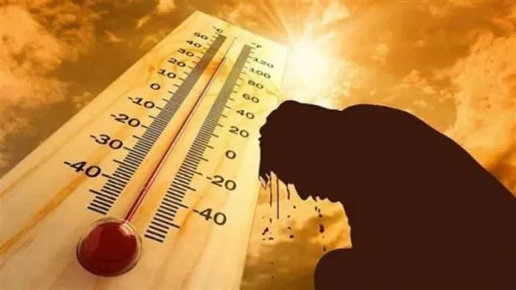 أخبار مصر والعالم
