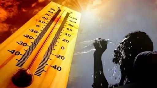أخبار مصر والعالم