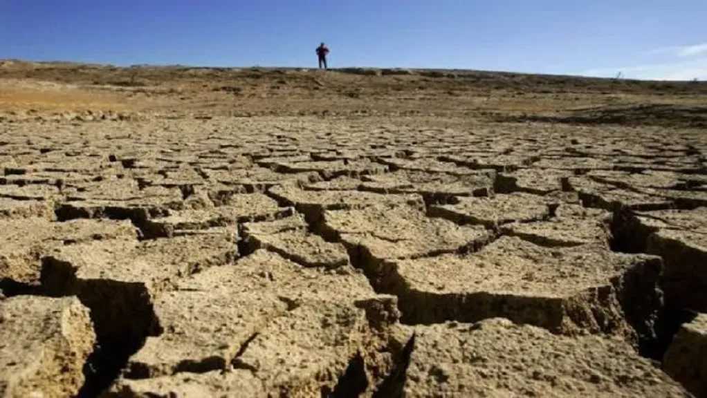 أخبار مصر والعالم