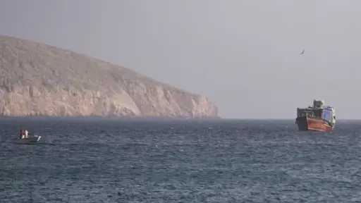 أخبار مصر والعالم
