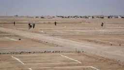 أخبار مصر والعالم
