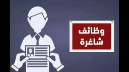 أخبار مصر والعالم