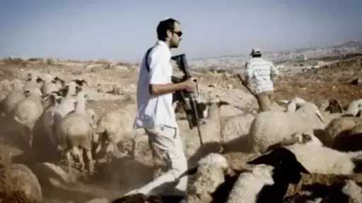 أخبار مصر والعالم