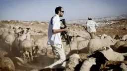 أخبار مصر والعالم
