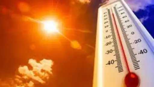 أخبار مصر والعالم