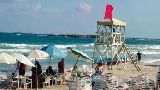 أخبار مصر والعالم