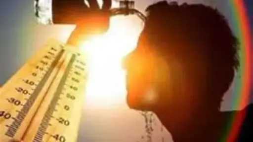 أخبار مصر والعالم