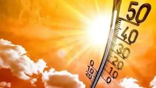 أخبار مصر والعالم