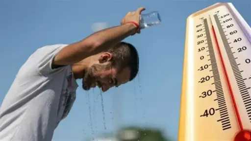أخبار مصر والعالم
