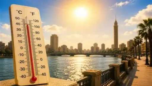 أخبار مصر والعالم